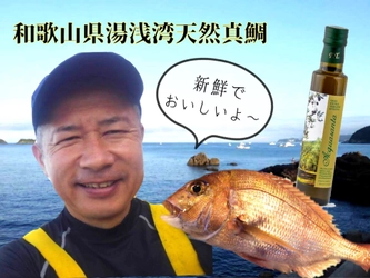 超新鮮！一本釣り天然真鯛のお刺身を和歌山湯浅湾よりご家庭に直送！