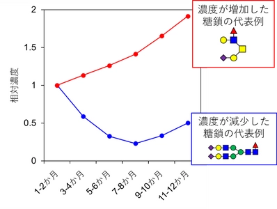 雪印メグミルクと雪印ビーンスタークの母乳調査　国内初 日本人母乳中の糖鎖の濃度変化を詳細に解析