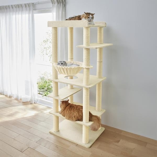 大きな天井ベッドのハイタワー