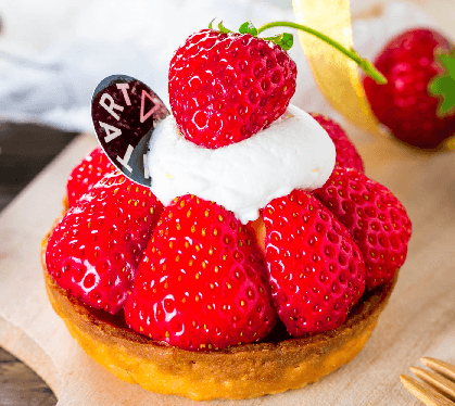 TARTORTA(タルトルタ)