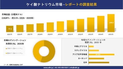 ケイ酸ナトリウム市場レポート概要