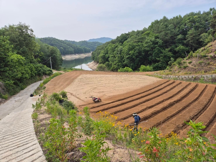 4TH Herb & Human Life Lab 薬草畑