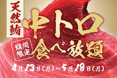 天然マグロの中トロ食べ放題