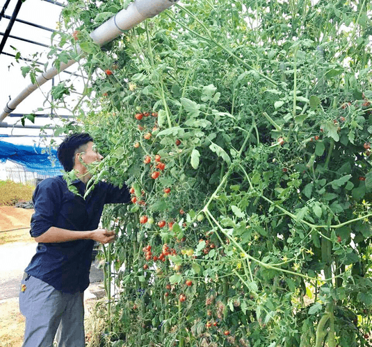 食材を厳選する店長
