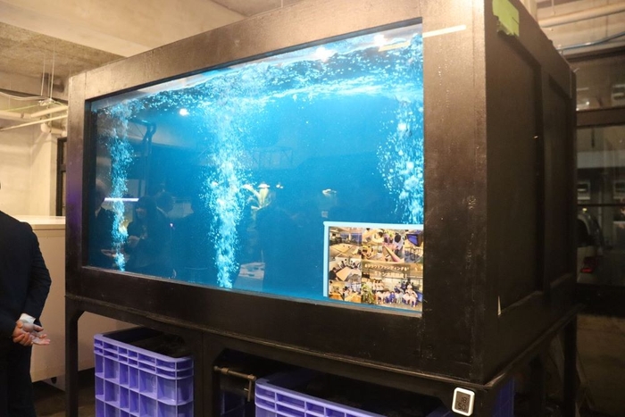 クラウドファンディングを利用して完成した５㌧水槽