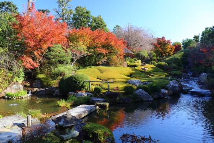 秋の特別早朝拝観プラン(退蔵院)