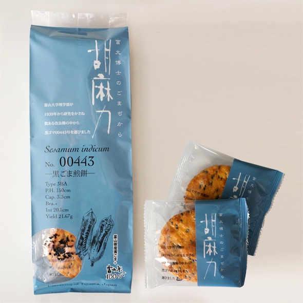 商品パッケージデザイン