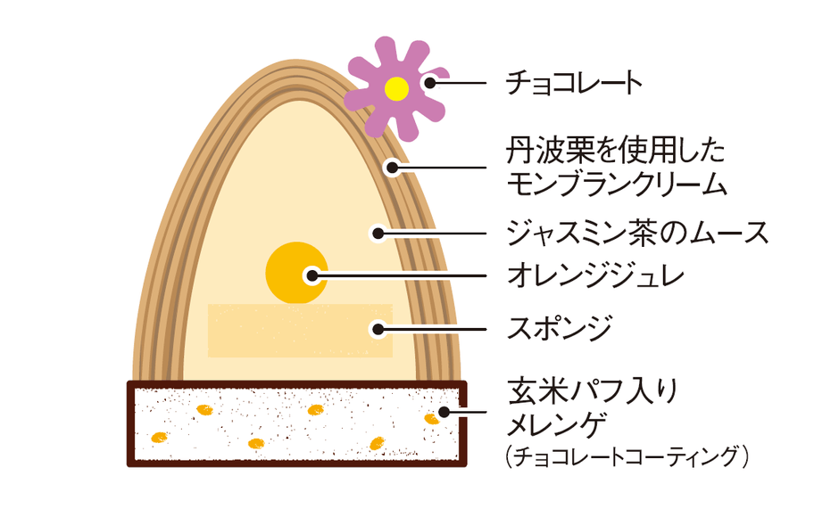 ジャスミン茶／断面図