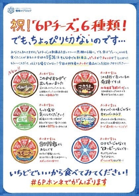《店頭ツール》ホンネPOP(6種)