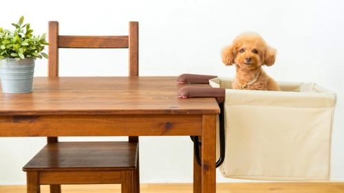 食事中の“抱っこ負担”を軽減。愛犬・愛猫のための『肉球アームのペットチェア　Chocorin』誕生