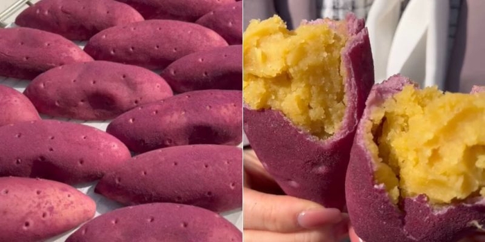 「コグマパン」のEC販売スタート