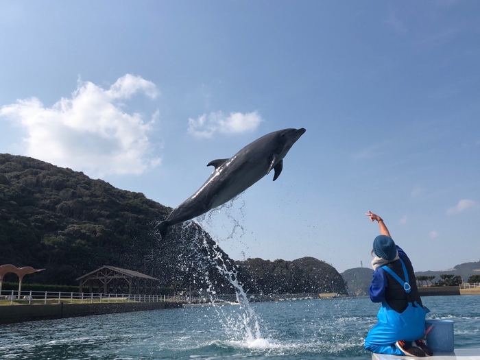 壱岐イルカパーク