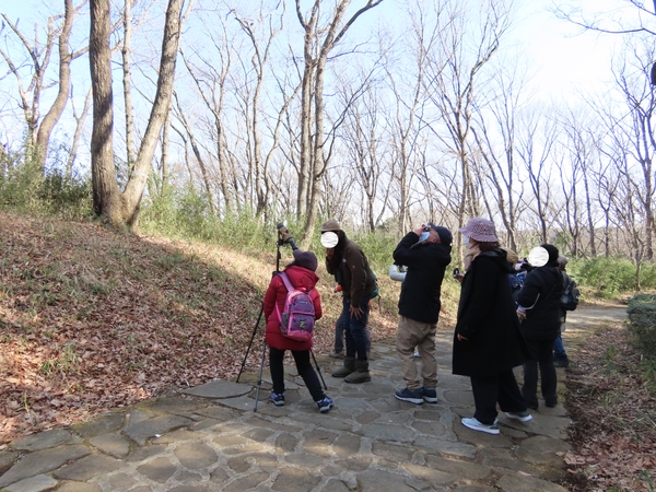 高いところに留まっているのかな？