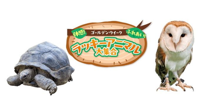 ラッキーアニマル大集合