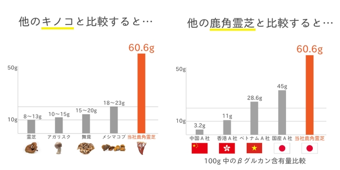 他のキノコと鹿角霊芝の比較