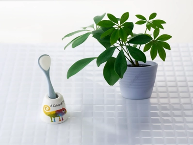 新学期から、新しい口腔ケア習慣を！ 将来の健康につながる、 子供の舌の成長についても考えてみませんか？ 小学校の6年間は舌の発達において最も重要な時期