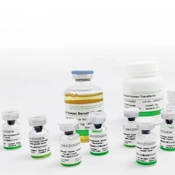 世界アルブミン賦形剤市場調査2026：2032年7526百万米ドル規模を展望