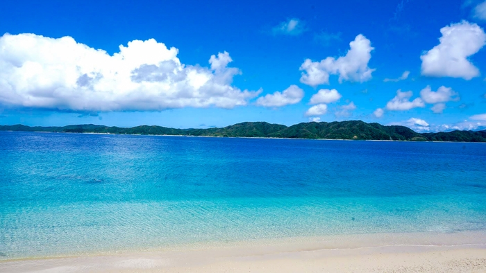 奄美大島イメージ