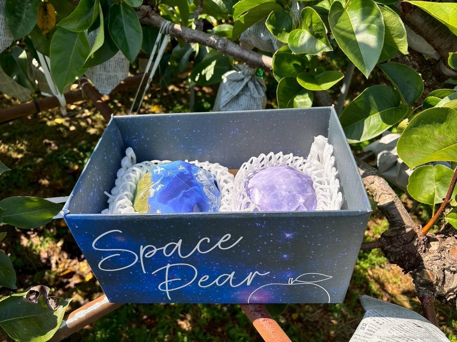 特別仕様のパッケージ(外箱：宇宙柄／内部包装：地球と月モチーフ)