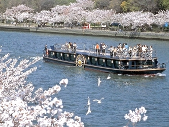 優雅なクルーズ船ひまわりで巡る 「桜スペシャルクルーズ」を運航します。