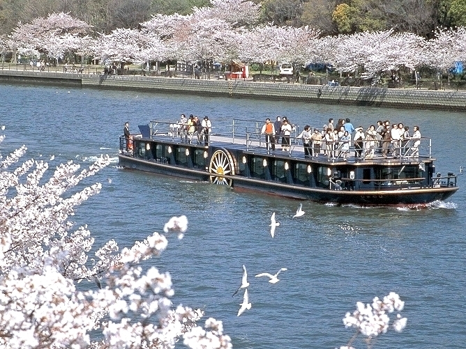 桜スペシャルクルーズ