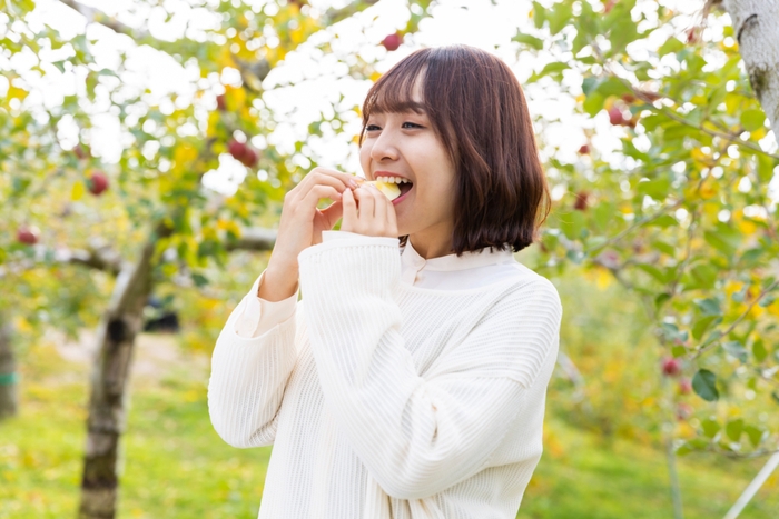 小諸で秋の味覚を楽しもう!