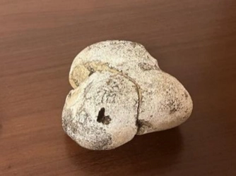 268gで442万円！幻の香り「龍涎香」で地域活性化を目指す 「龍涎香」の普及活動団体、ガイドブックや香りサンプルを 自治体など対象に提供開始 