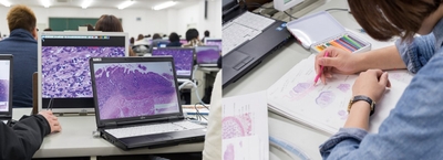 実際の病理学実習の様子
