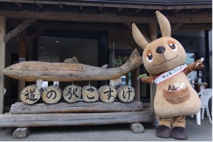 道の駅こすげ写真