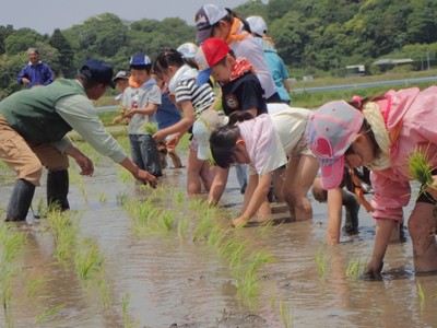 協力して田植えをしました!