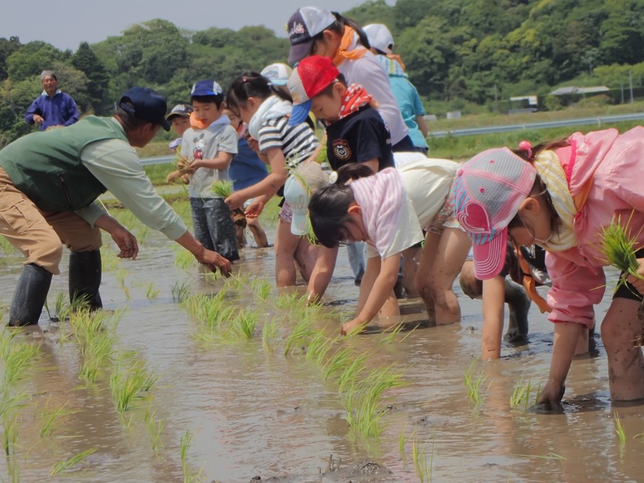 協力して田植えをしました!
