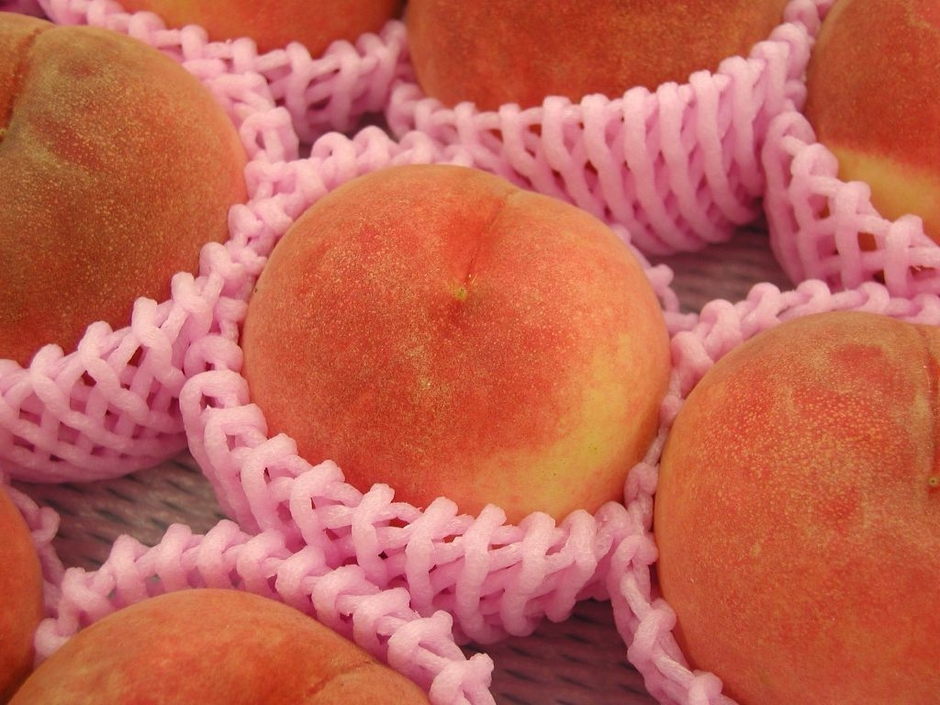 休暇村賞 裏磐梯 福島の桃