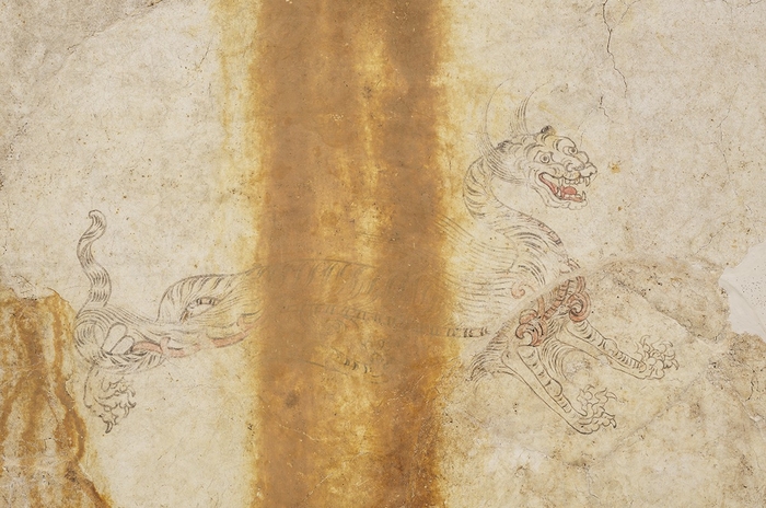 【画像3】白虎図像の可視光写真 2023年11 月