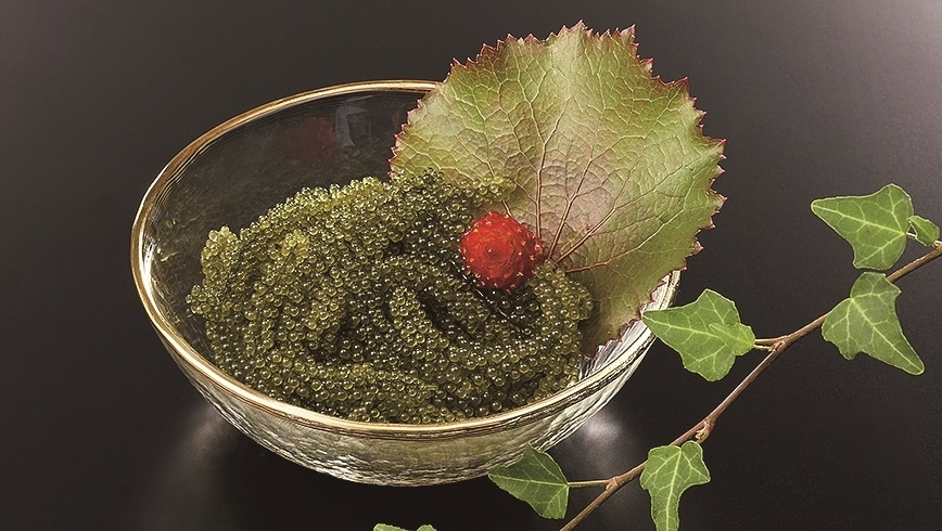 沖縄海藻専門店もずキム