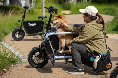 Dog in Doggie_Lite5