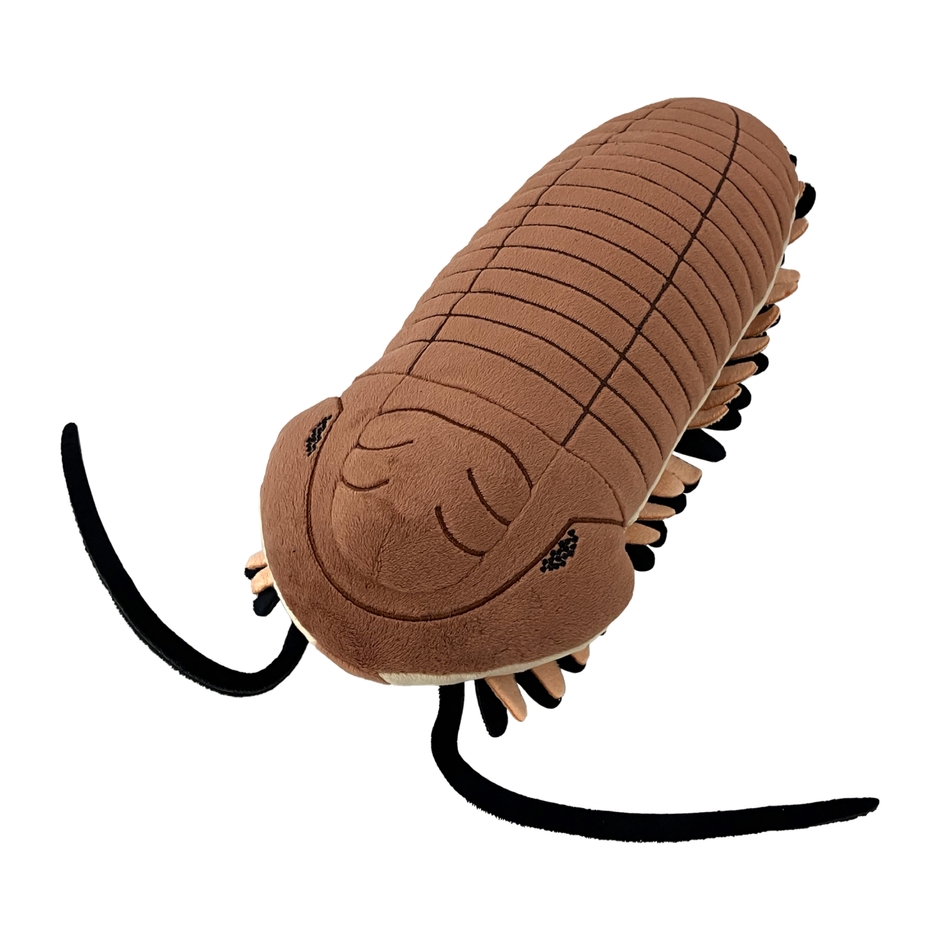 絶滅生物ぬいぐるみ_三葉虫