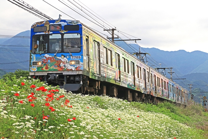 7500系車両(フルラッピングトレイン：秩父三社トレイン)　イメージ