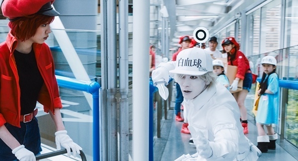 (C)清水茜/講談社 (C)原田重光・初嘉屋一生・清水茜/講談社 (C)2024 映画「はたらく細胞」製作委員会