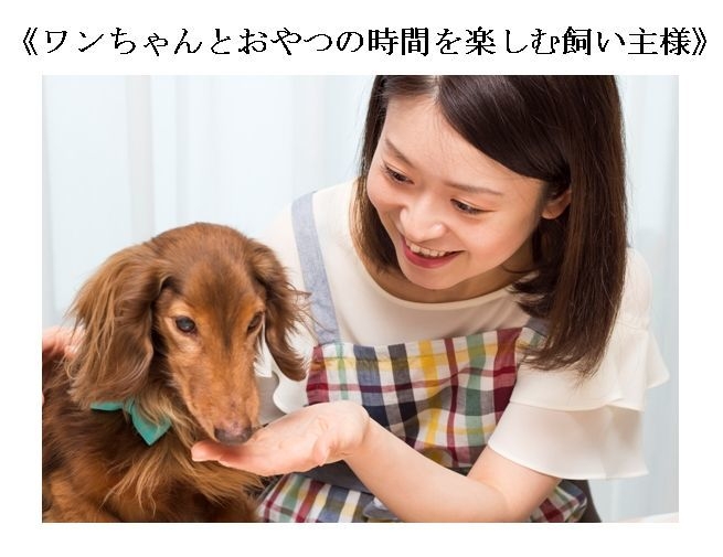 ワンちゃんとおやつの時間を楽しむ飼い主様