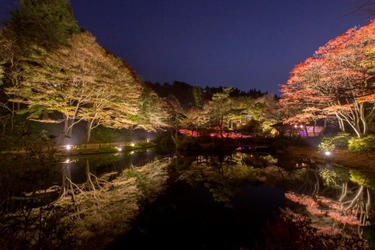 ライトアップされた紅葉とアートを楽しむ 六甲高山植物園　夜の紅葉散策　ラスト1週間　11月11日(日)まで開催！