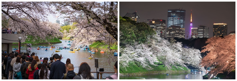 さくらまつりのイメージ