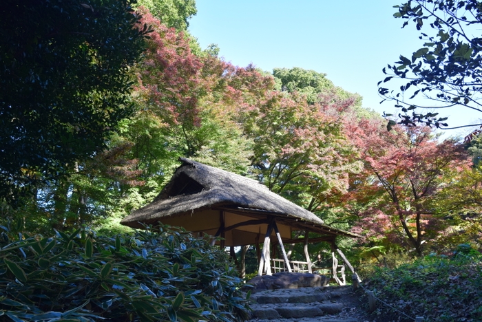 つつじ茶屋