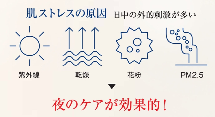 肌ストレスの原因