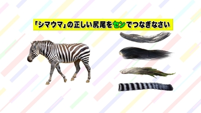 問題(1)