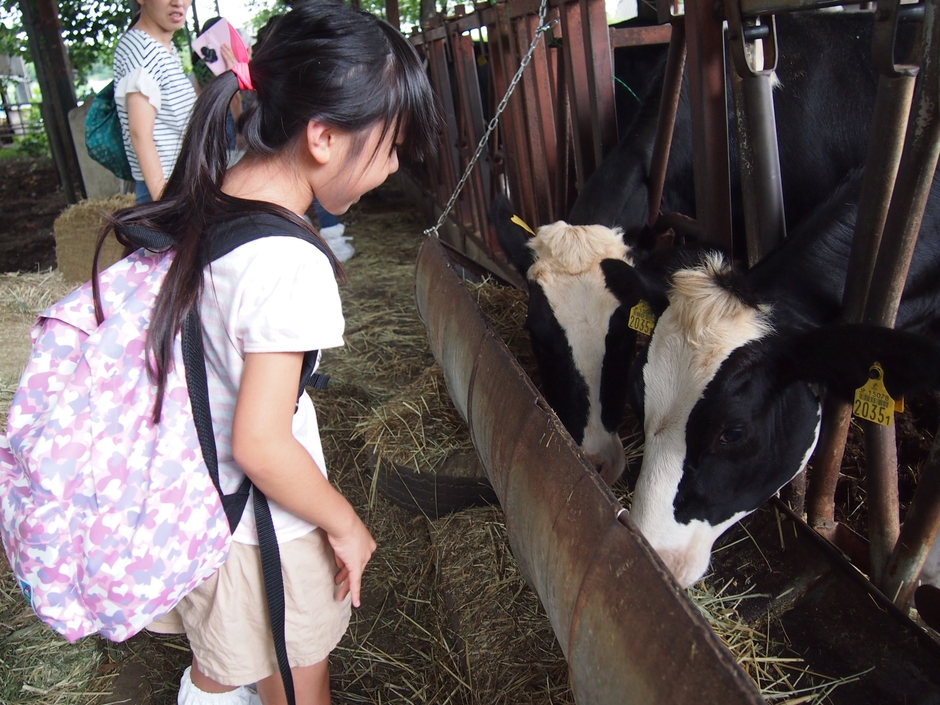 財団主催「茨城の牧場を訪ねるツアー」(2017年8月開催)より(1)