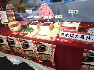 2017年の様子(4)