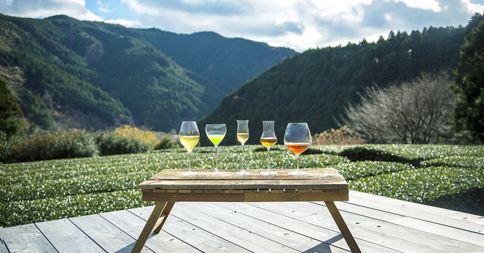 『香りたつ茶畑』では5品種(5種類)ごとに、香り・味わいを際立たせるグラス(茶器)の形も提案 ※撮影協力:静岡・川根町 深山園「里山の茶の間」