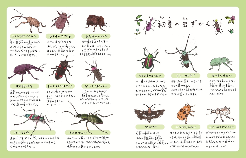 《中面見開き》1