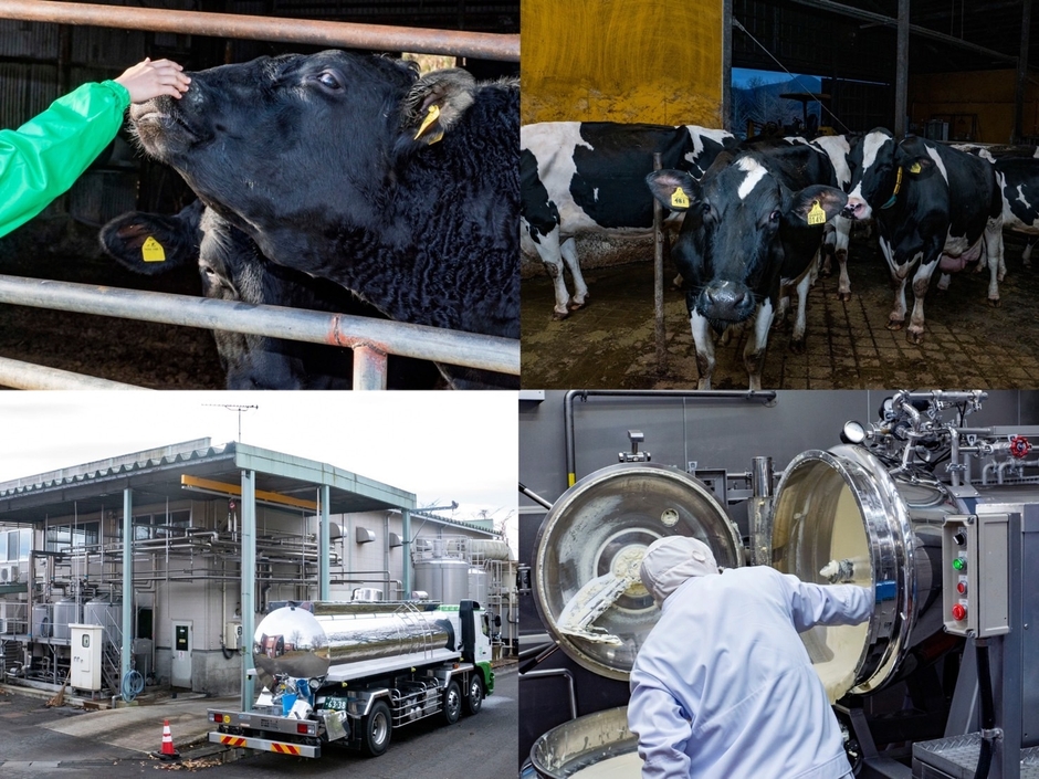 蔵王の新鮮な生乳とクリームから生まれるクリームチーズを使用