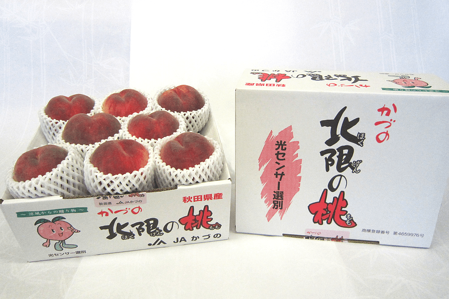 かづの北限の桃(川中島白桃)「秀」2.5kg(6~8玉)